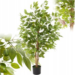 PA Ficus 120 cm Plante...