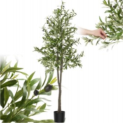 PA Olivier 180 cm Plante...