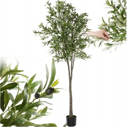 PA Olivier 210 cm Plante...