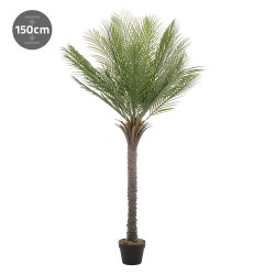PA Palmier 150 cm Plante...