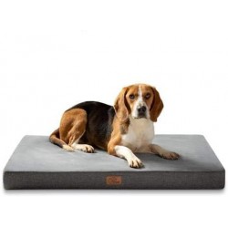 Matelas 61x41x8cm Chien...