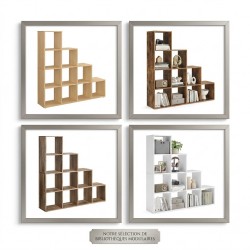 Bibliothèque 15CS Modèle...