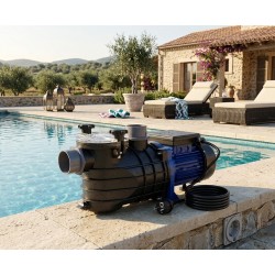 Pompe de piscine 01WL 180 W...